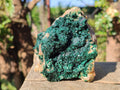 Natural Cabinet Size Crystalline Malachite Specimen x 1 From Tenke Fungurume, Congo