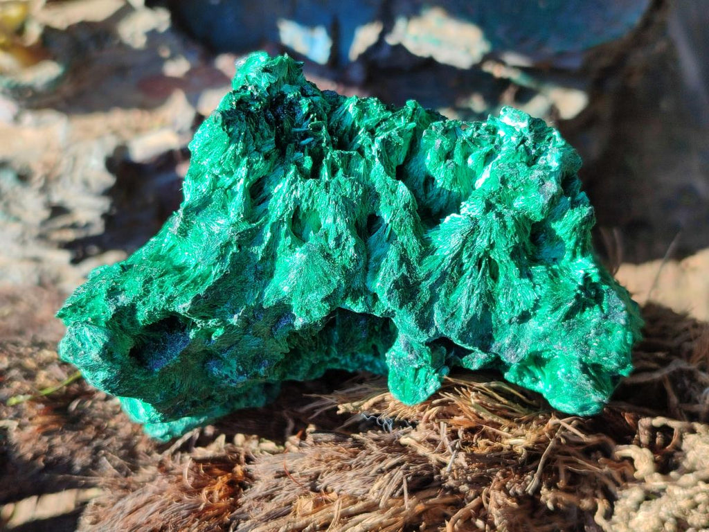 Polished and Natural Set of 6 Mixed African Minerals and Fossils x 1 From Southern Africa