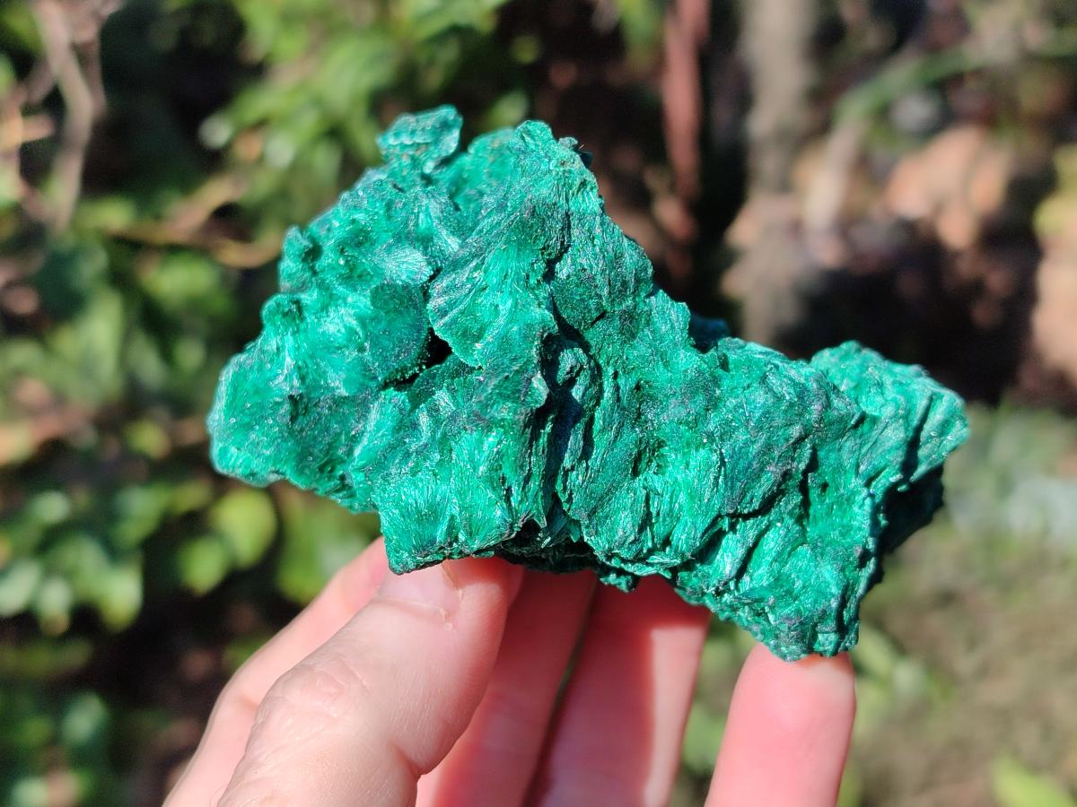Polished and Natural Set of 6 Mixed African Minerals and Fossils x 1 From Southern Africa