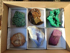 Polished and Natural Set of 6 Mixed African Minerals and Fossils x 1 From Southern Africa