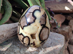 Polished XL Septerye Egg with Yellow Calcite Centre x 1 From Mahajanga, Madagascar