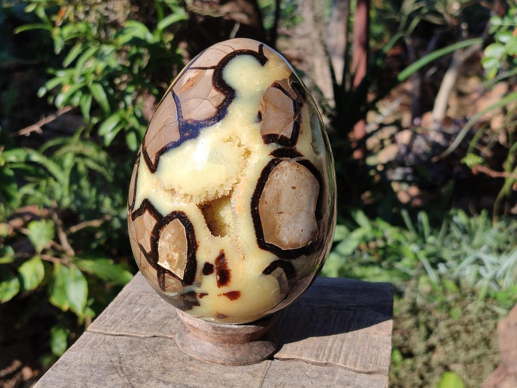 Polished XL Septerye Egg with Yellow Calcite Centre x 1 From Mahajanga, Madagascar
