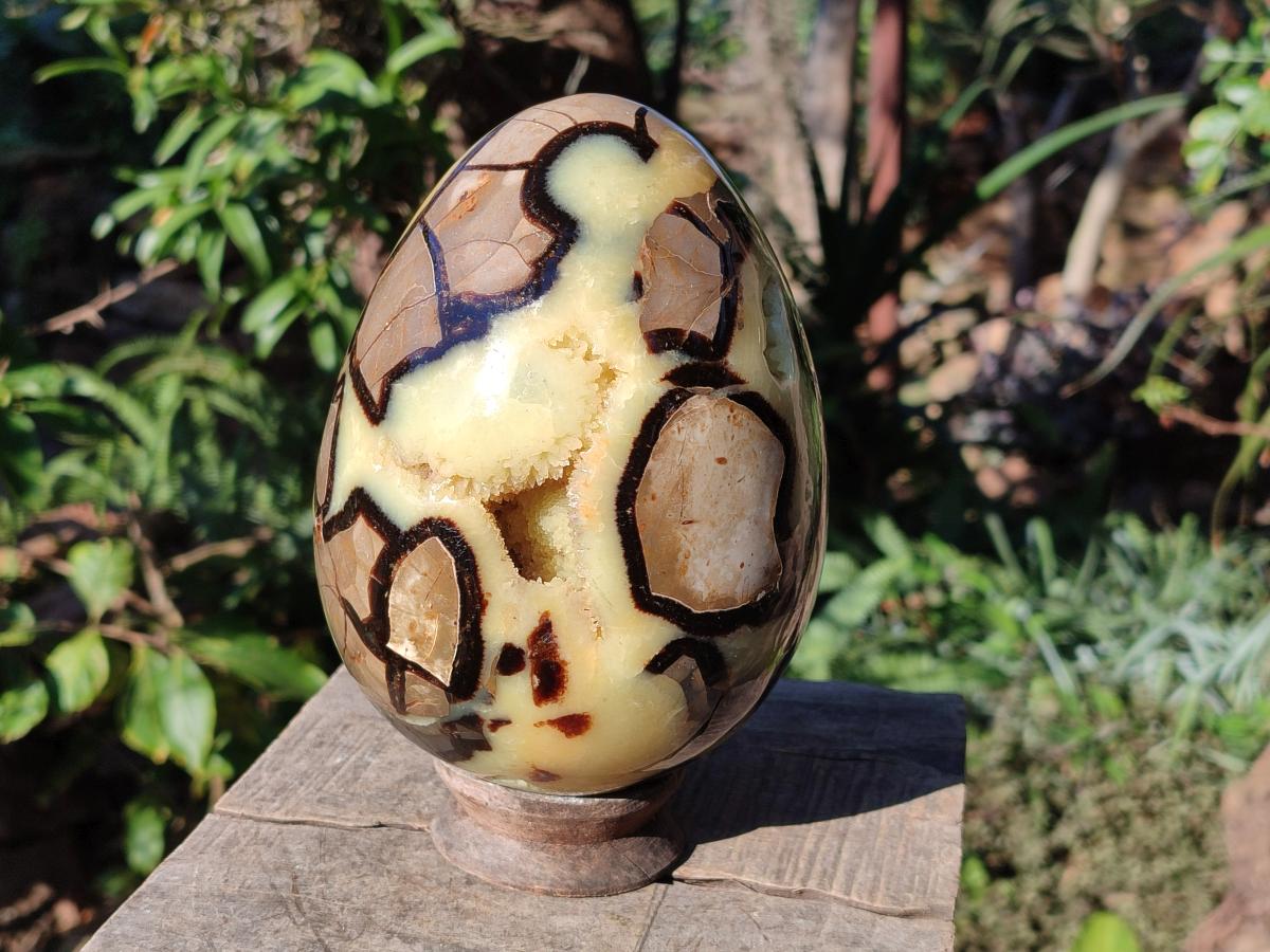 Polished XL Septerye Egg with Yellow Calcite Centre x 1 From Mahajanga, Madagascar