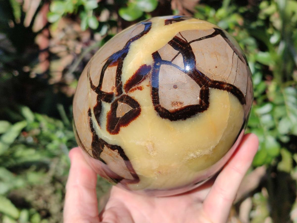 Polished XL Septerye Egg with Yellow Calcite Centre x 1 From Mahajanga, Madagascar