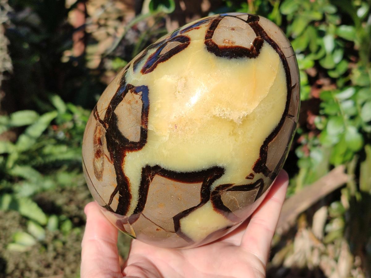 Polished XL Septerye Egg with Yellow Calcite Centre x 1 From Mahajanga, Madagascar