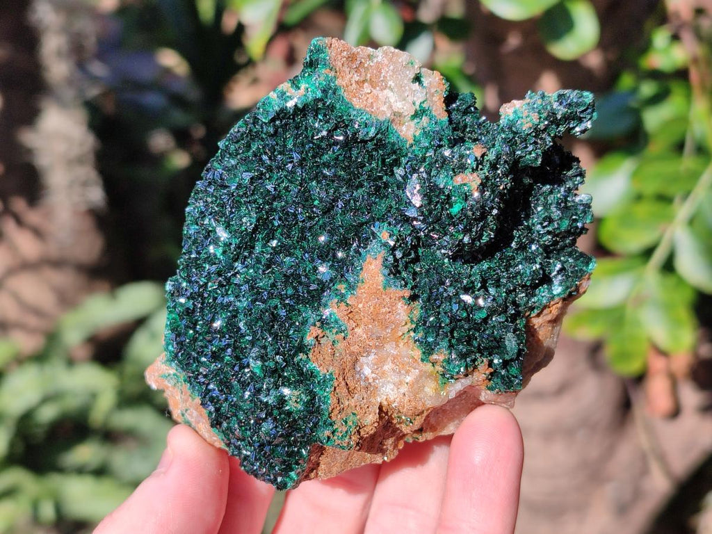 Natural Sparkling Crystalline Malachite Specimen x 1 From Tenke Fungurume, Congo