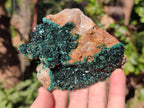 Natural Sparkling Crystalline Malachite Specimen x 1 From Tenke Fungurume, Congo