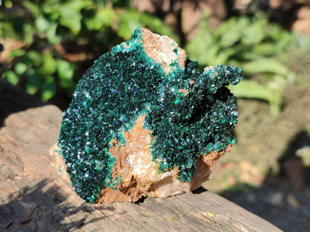 Natural Sparkling Crystalline Malachite Specimen x 1 From Tenke Fungurume, Congo