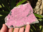 Natural Large Pink Salrose Cobaltion Dolomite Specimen with Heterogenite x 1 From Kakanda, Congo