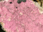 Natural Large Pink Salrose Cobaltion Dolomite Specimen with Heterogenite x 1 From Kakanda, Congo