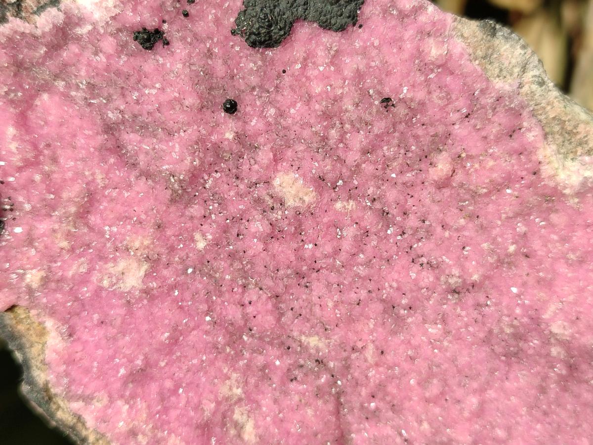 Natural Large Pink Salrose Cobaltion Dolomite Specimen with Heterogenite x 1 From Kakanda, Congo