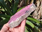Natural Large Pink Salrose Cobaltion Dolomite Specimen with Heterogenite x 1 From Kakanda, Congo