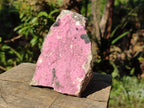 Natural Large Pink Salrose Cobaltion Dolomite Specimen with Heterogenite x 1 From Kakanda, Congo