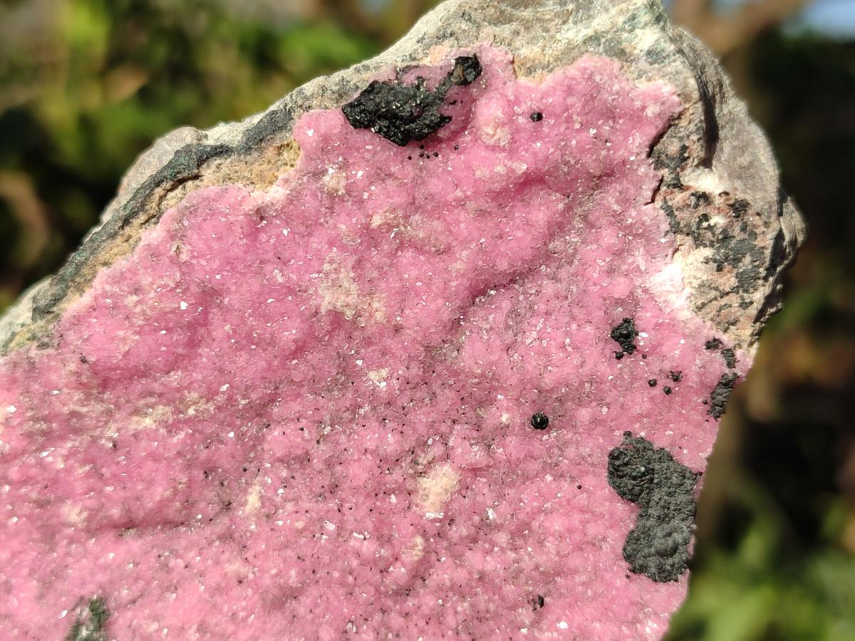 Natural Large Pink Salrose Cobaltion Dolomite Specimen with Heterogenite x 1 From Kakanda, Congo