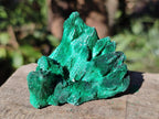 Polished and Natural Mixed Set of 12 African Minerals and Fossil in Wooden Display Box x 1 From Southern Africa