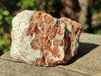 Polished and Natural Mixed Set of 12 African Minerals and Fossil in Wooden Display Box x 1 From Southern Africa