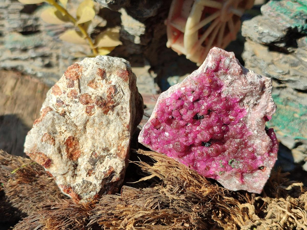 Polished and Natural Mixed Set of 12 African Minerals and Fossil in Wooden Display Box x 1 From Southern Africa