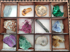Polished and Natural Mixed Set of 12 African Minerals and Fossil in Wooden Display Box x 1 From Southern Africa