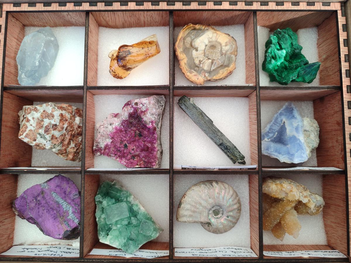 Polished and Natural Mixed Set of 12 African Minerals and Fossil in Wooden Display Box x 1 From Southern Africa