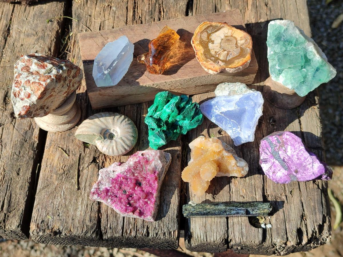 Polished and Natural Mixed Set of 12 African Minerals and Fossil in Wooden Display Box x 1 From Southern Africa