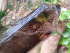 Polished XL Tall Smokey Quartz Display Crystal with Enhydro x 1 From Akansobe, Madagascar