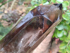 Polished XL Tall Smokey Quartz Display Crystal with Enhydro x 1 From Akansobe, Madagascar
