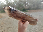 Polished XL Tall Smokey Quartz Display Crystal with Enhydro x 1 From Akansobe, Madagascar