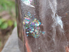 Polished XL Tall Smokey Quartz Display Crystal with Enhydro x 1 From Akansobe, Madagascar