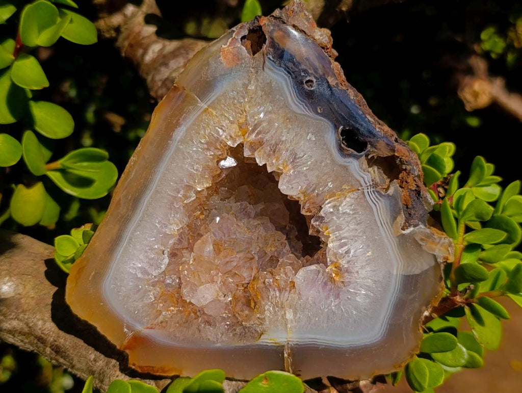 Polished and Natural Crystal Centred Agate Geode x 1 From Maintirano, Madagascar