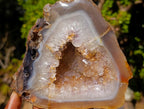 Polished and Natural Crystal Centred Agate Geode x 1 From Maintirano, Madagascar