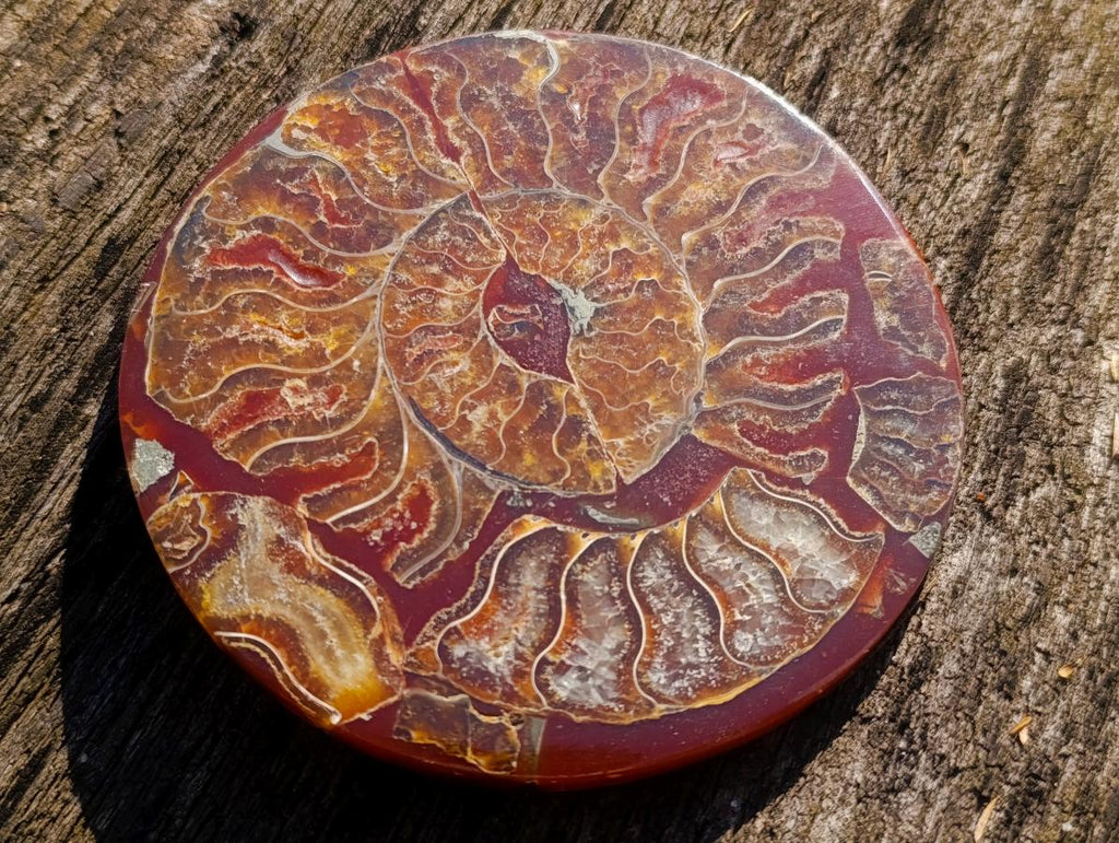 Hand Made Conglomerate Ammonite "Eye" Patterned Plaque x 1 From Madagascar