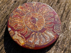 Hand Made Conglomerate Ammonite "Eye" Patterned Plaque x 1 From Madagascar