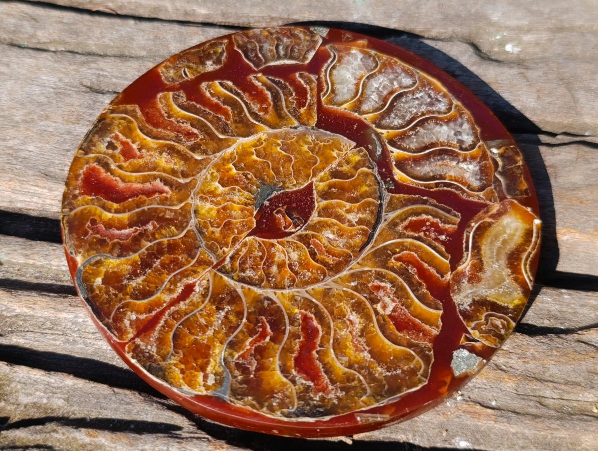 Hand Made Conglomerate Ammonite "Eye" Patterned Plaque x 1 From Madagascar