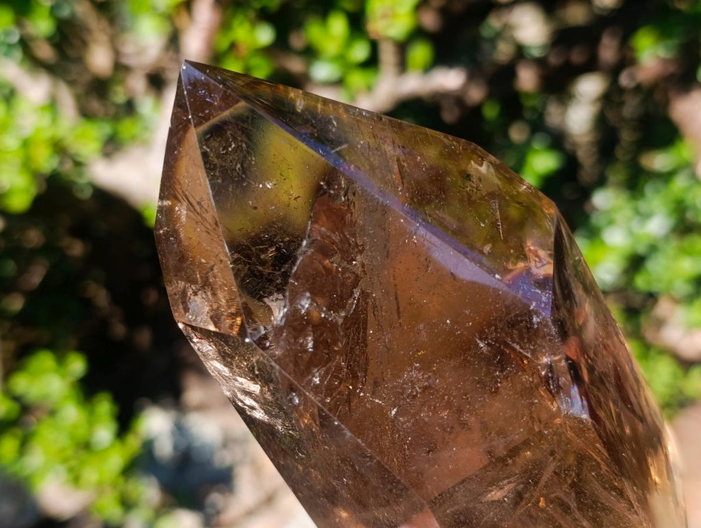 Polished Highly Reflective Large Smokey Quartz Display Crystal x 1 From Madagascar
