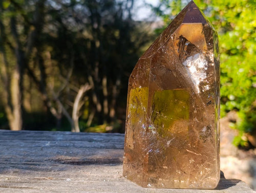 Polished Highly Reflective Large Smokey Quartz Display Crystal x 1 From Madagascar