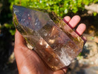 Polished Highly Reflective Large Smokey Quartz Display Crystal x 1 From Madagascar