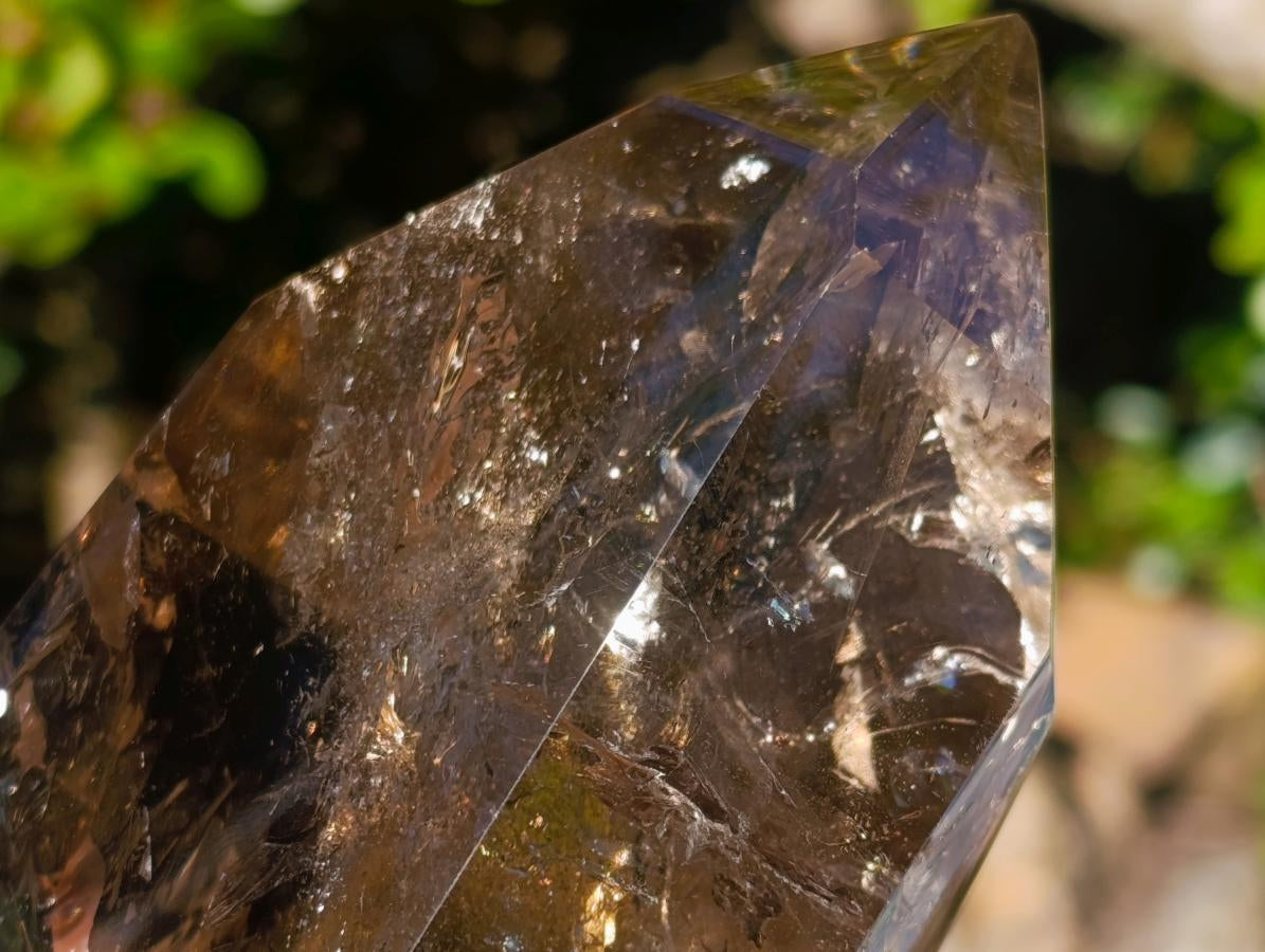 Polished Highly Reflective Large Smokey Quartz Display Crystal x 1 From Madagascar
