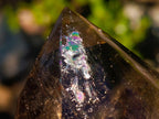 Polished Highly Reflective Large Smokey Quartz Display Crystal x 1 From Madagascar