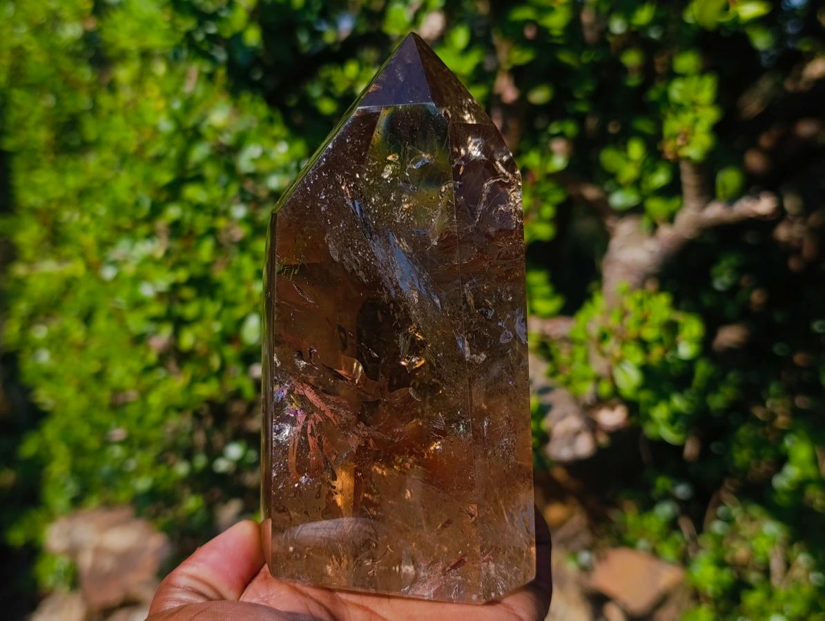 Polished Highly Reflective Large Smokey Quartz Display Crystal x 1 From Madagascar