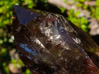 Polished Highly Reflective Large Smokey Quartz Display Crystal x 1 From Madagascar