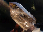 Polished Highly Reflective Large Smokey Quartz Display Crystal x 1 From Madagascar