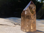 Polished Highly Reflective Large Smokey Quartz Display Crystal x 1 From Madagascar