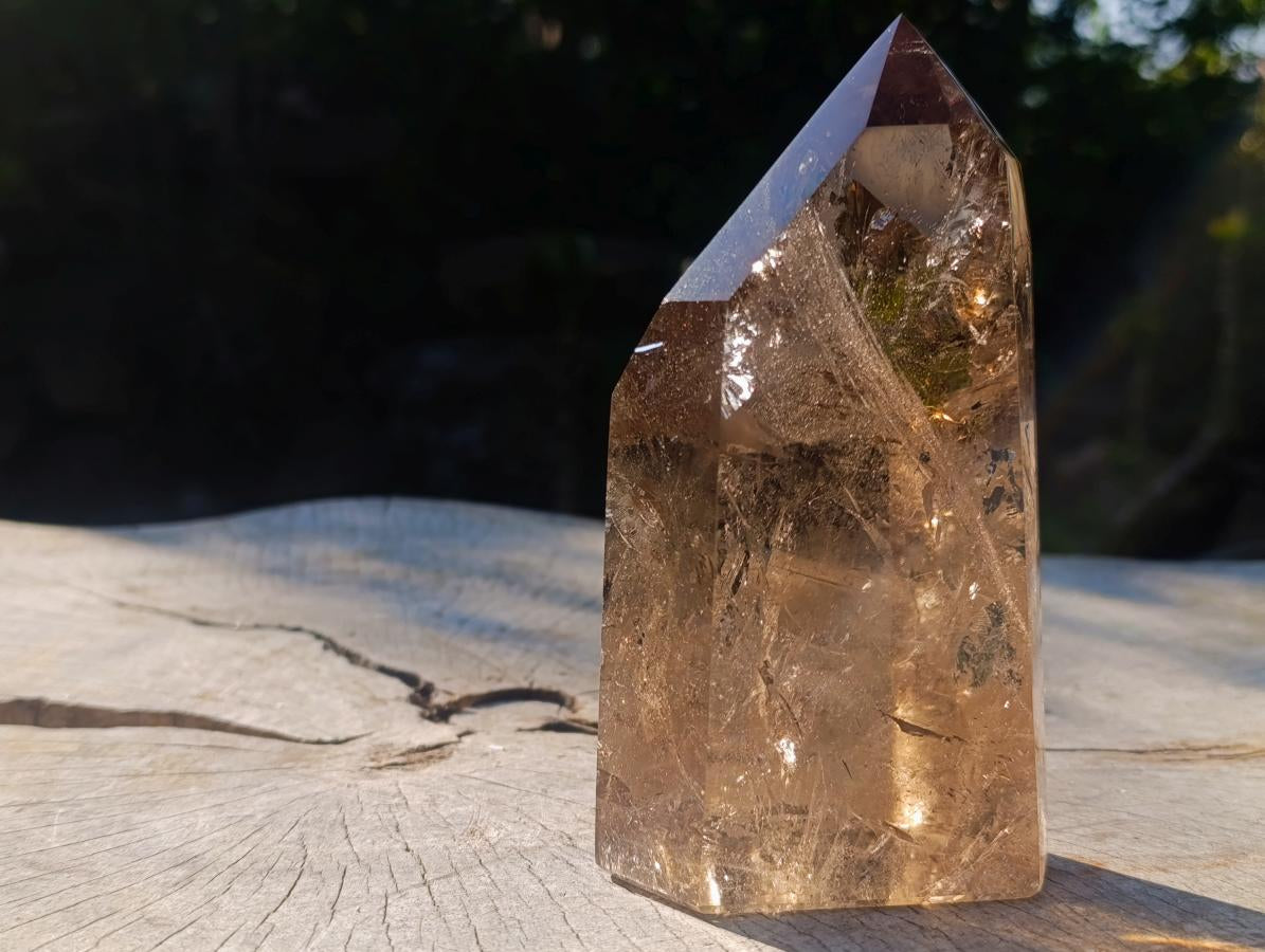 Polished Highly Reflective Large Smokey Quartz Display Crystal x 1 From Madagascar