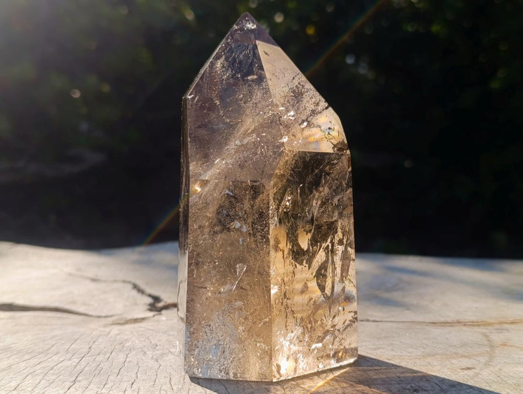 Polished Highly Reflective Large Smokey Quartz Display Crystal x 1 From Madagascar