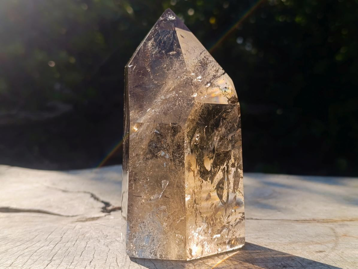 Polished Highly Reflective Large Smokey Quartz Display Crystal x 1 From Madagascar