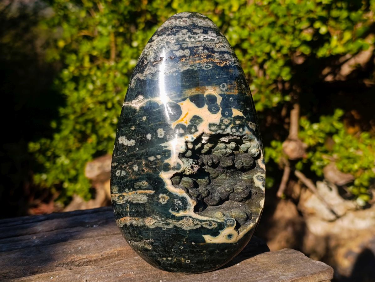 Polished Rare Orbicular Ocean Jasper Display Piece x 1 From Madagascar