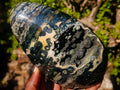 Polished Rare Orbicular Ocean Jasper Display Piece x 1 From Madagascar