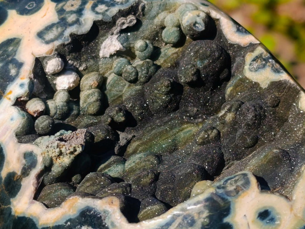Polished Rare Orbicular Ocean Jasper Display Piece x 1 From Madagascar