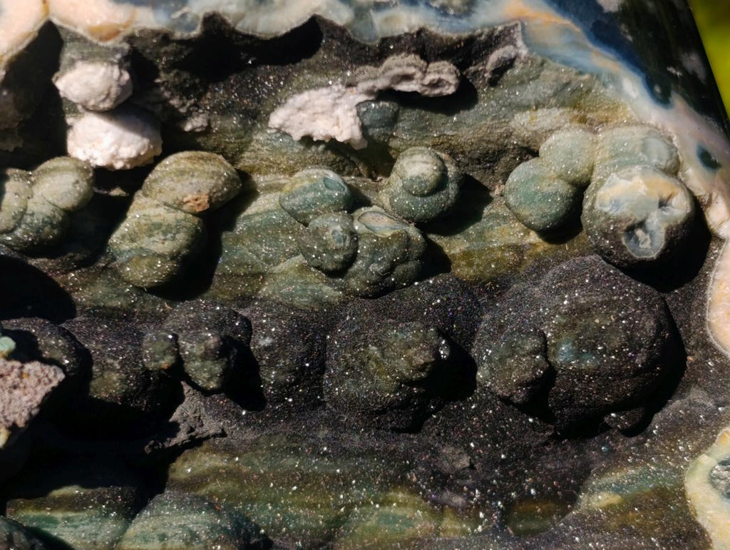 Polished Rare Orbicular Ocean Jasper Display Piece x 1 From Madagascar
