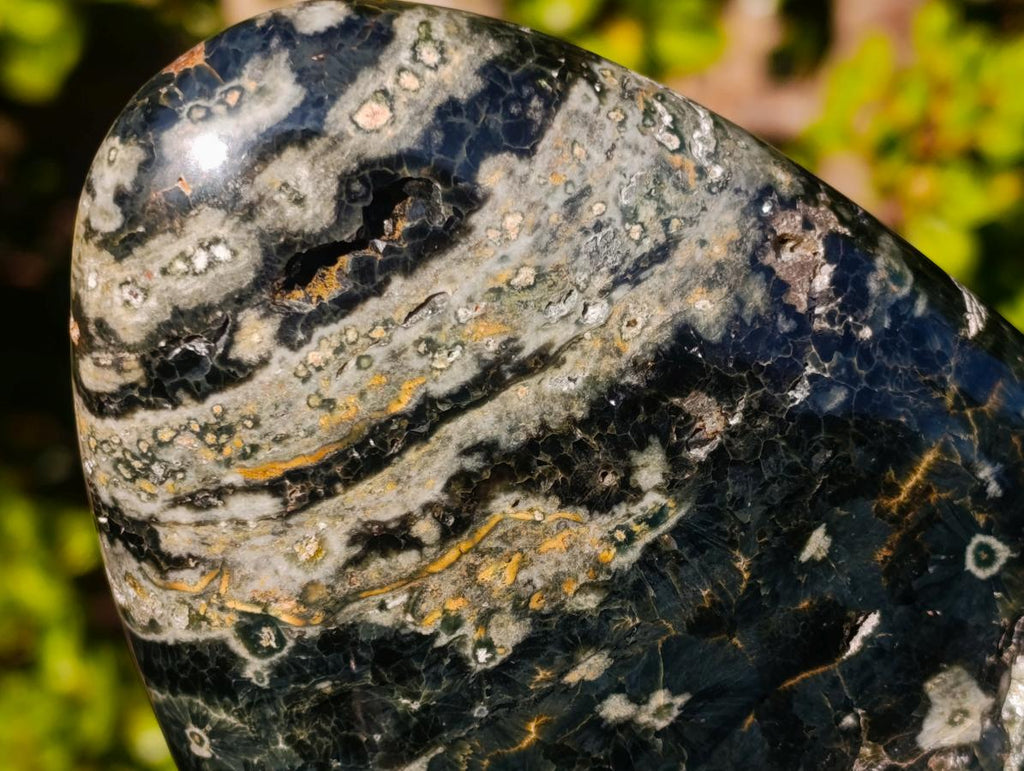 Polished Rare Orbicular Ocean Jasper Display Piece x 1 From Madagascar